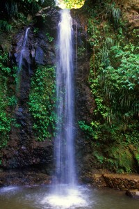 Waterfall copy