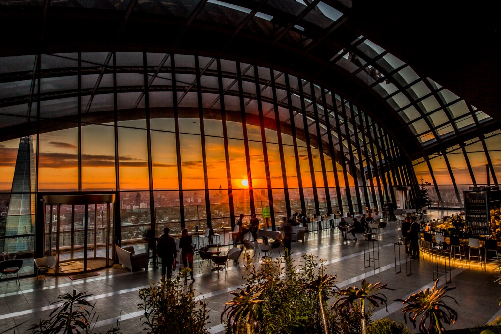 Rhubarb at Sky Garden - 79